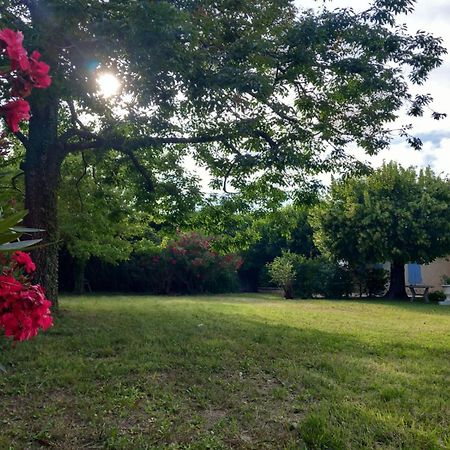 Le Petit Mas Des Alpilles En Provence Villa Saint-Étienne-du-Grès Exteriör bild